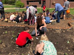 pollinator garden 